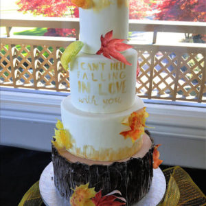 Cake Savvy Fall wedding Chilliwack