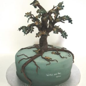 special occasion cakes designed for you